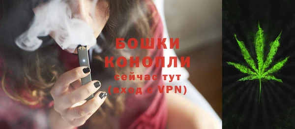 метадон Горняк