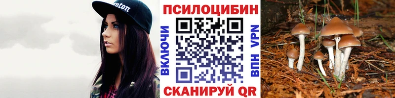 Купить  Отрадное  Псилоцибиновые грибы Psilocybe 